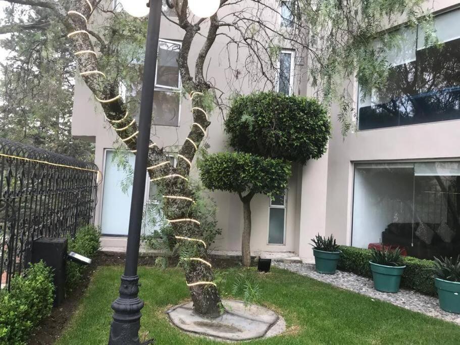 Hermoso Departamento En Bosques De Las Lomas Dos Habitaciones 墨西哥城 外观 照片