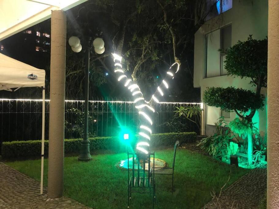 Hermoso Departamento En Bosques De Las Lomas Dos Habitaciones 墨西哥城 外观 照片