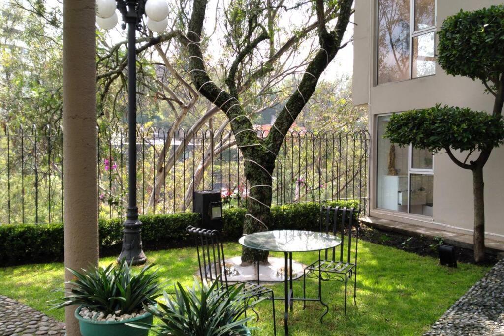 Hermoso Departamento En Bosques De Las Lomas Dos Habitaciones 墨西哥城 外观 照片